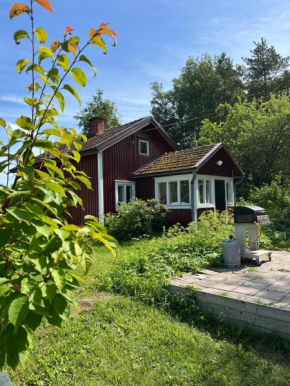 Peltosaaren Luomulammastila, Salo